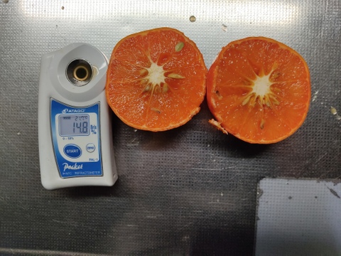 紅ばえ　家庭用Ａ・Ｂミックス　4Ｋ