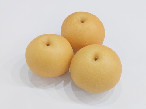 100年に一度の品種？！「大天梨」約5kg