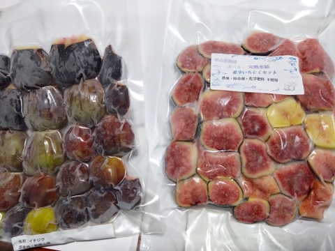 完熟冷凍　希少いちじくお楽しみセット【農薬・除草剤・化学肥料・添加物不使用】