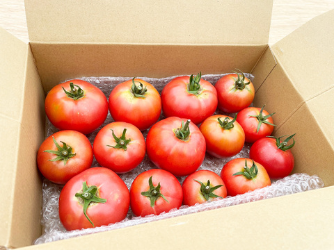 【夏の定番！】トマト（14個前後、約1.4kg）