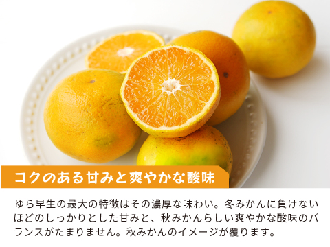 ゆら早生（みかん）5kg家庭用｜和歌山生まれの極早生みかんの最高傑作