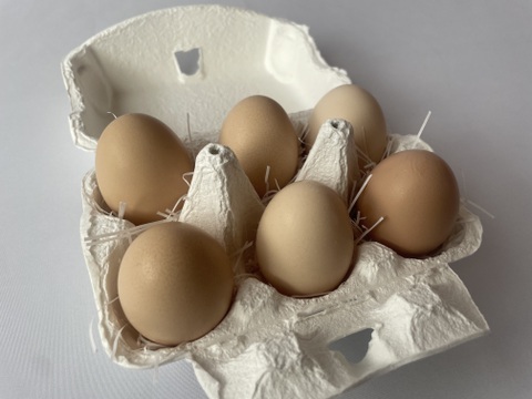 佐渡島産 黒烏骨鶏の卵 6個【平飼い卵】