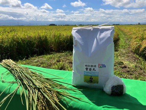 令和7年産米　新商品！大きい粒でとっても美味しい　合鴨農法雪若丸　精米10キロ（10キロ1袋）