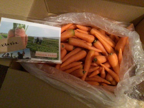 【訳あり】農薬・化学肥料栽培中不使用！栄養満点の冬ニンジン8kg