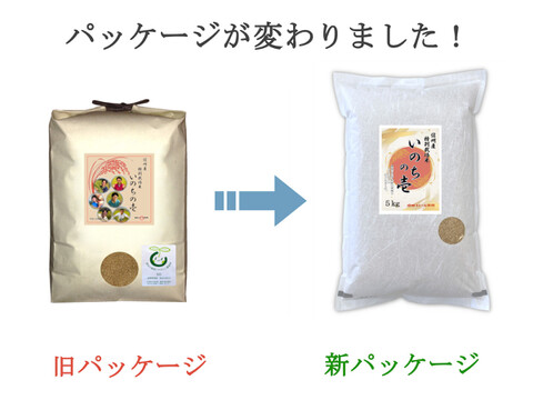 【 玄米10kg 】信州産 特別栽培米『いのちの壱』大粒の品種です！令和4年産（5kg×2袋）