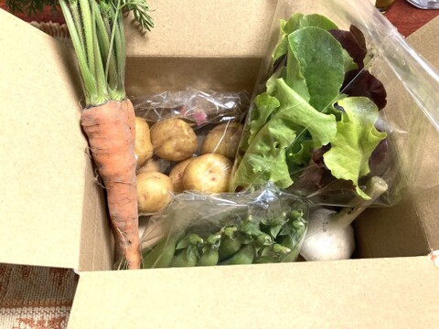 旬べじ詰め合わせ（少量希望の方におすすめです）