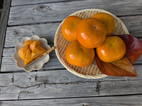 【ご家庭用】和歌山の富有柿