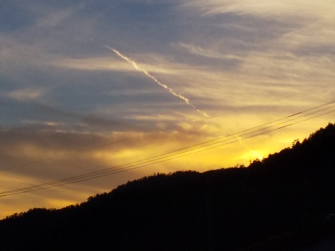 NEW★10月上旬発送特別追加（山梨県産 シャインマスカット 約1.6㎏）