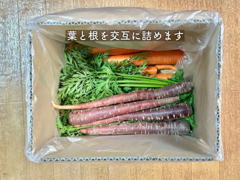 信州産｜甘い葉付きカラー人参