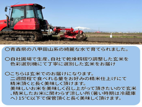 【お値打ち玄米30ｋｇ】令和7年産 青森県産「まっしぐら」紙袋玄米30ｋｇ 彩北米 自社生産 自社調整加工 プロフェッショナル米栽培 あおもり aomori 産直 良品種  さっぱり 美味しい