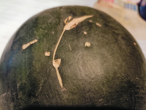 自然栽培のスイカ（固定種）【B品1玉︰2.5-4.5kg】