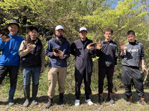 朝採りタケノコはいかがでしょうか？2kg