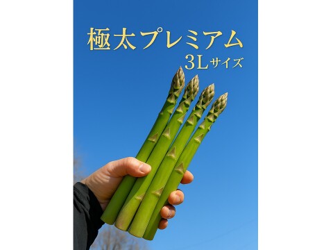 【20個限定】北海道産！青空アスパラ極太プレミアム(3L/１kg)
