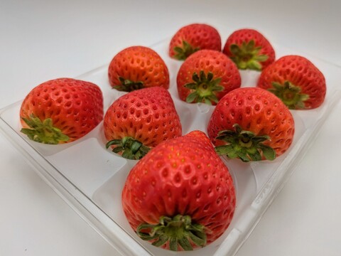 ジュワ～と果汁！贈答用！完熟とちあいか！やさしく苺を包むゆりカーゴ梱包！今話題の甘さが際立つ品種です！
約270g×2パック