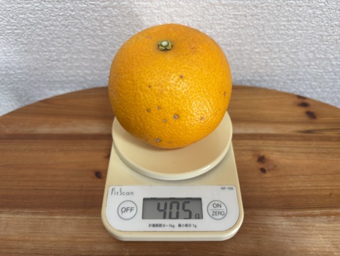 香り華やか　はっさく　箱込み５kg 2級品　家庭用　無選別　和歌山県産