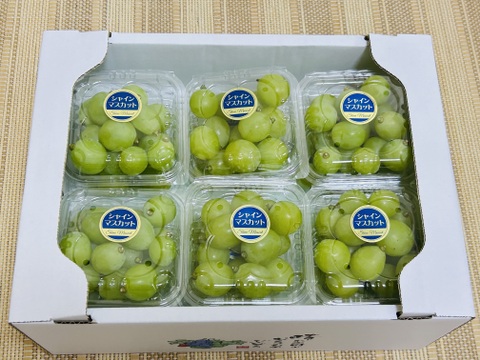 みんなでシェアしよう！つぶつぶシャイン12パック約１.6キロ