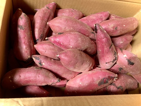 ねっとり甘い！熟成紅はるか Sサイズ 5kg さつまいも：茨城県産