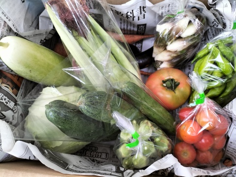 《自然栽培》夏秋　旬の手作り野菜セット【８種類くらい】