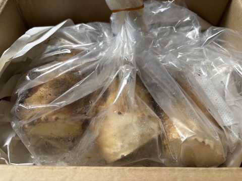 プロ管理竹林のやわらか春タケノコ（出雲産)