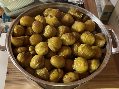 2kg鬼皮も渋皮も楽に剥ける！調理が簡単なぽろたん 那須栗