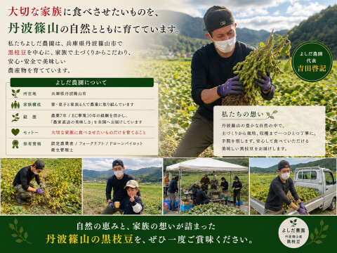 【令和8年黒枝豆・先行予約限定・増量特典付き】【朝どれ】丹波篠山産 黒枝豆 さや1.4kg（通常1.2kg＋200g）農家直送・期間限定 丹波篠山 黒枝豆 産地直送 大粒 最高級 枝豆 丹波篠山黒枝豆