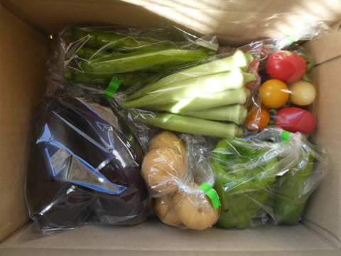 一人暮らしの方に・季節の野菜セット５～７品（Ｓサイズ・1～1.5kg前後）【お試しサイズ】