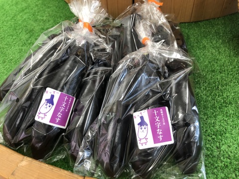 本当に美味しい収穫期でお届けしたい【ぷっくり美味い十文字なす】2kg