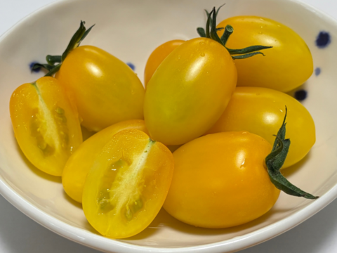 【とまほっぺ】黄色アイコトマト 500g｜愛媛・久万高原直送