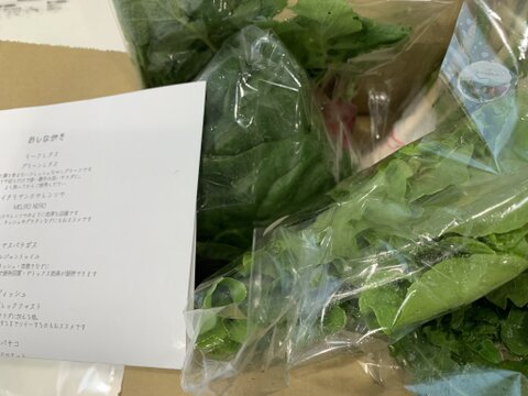 お料理の幅が広がる！ 季節の西洋野菜 Italian selection 60サイズ