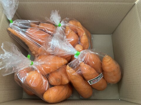 訳アリ！☆有機JAS認証☆にんじん3.6㎏