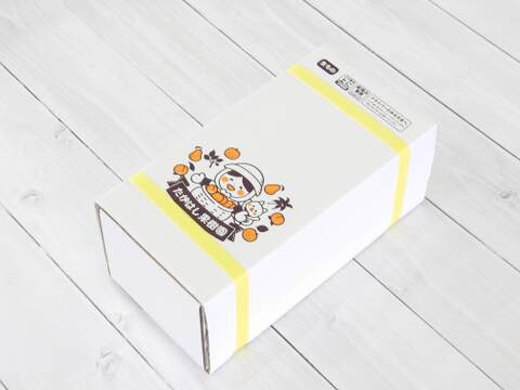 【冬ギフト】たかはし果樹園謹製 高級西洋梨「ル・レクチェ」厳選品 中玉 約1kg