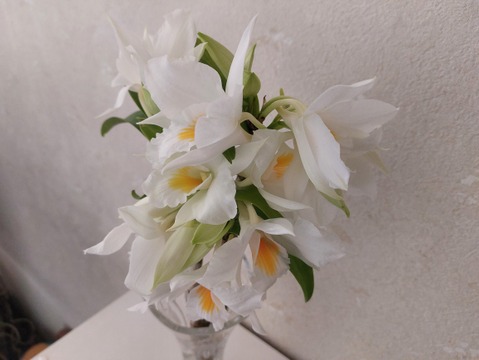 【母の日プチギフト】フォーミディブルのかわいい花束