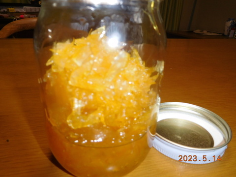 伊豆の自然で育った「新甘夏」「紅甘夏」ﾏｰﾏﾚｰﾄﾞづくりにも好評!　　　　　　　　1２個入り  ／　約4.0㎏