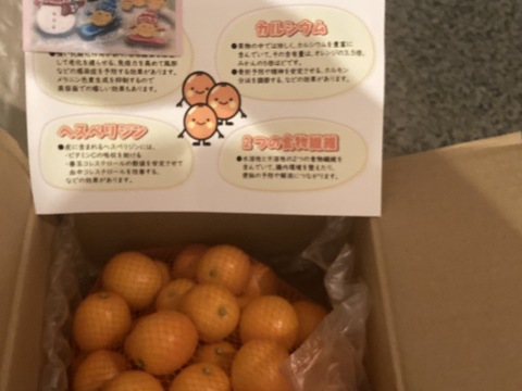 ❮中キズあり❯3Lサイズきんかん(1㎏)　カブッと！