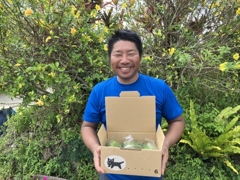 2025やなかーぎ‼️ど根性粘りの石垣島産オクラ⭐️約1.5キロ