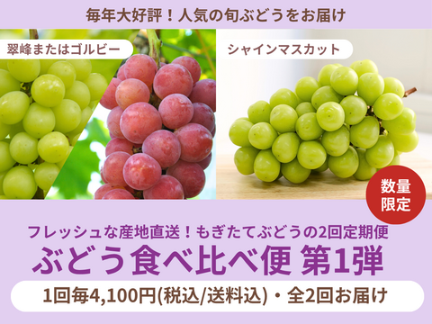 【限定200セット】ぶどう食べ比べ便第１弾※送料込※（食べチョク公式）
