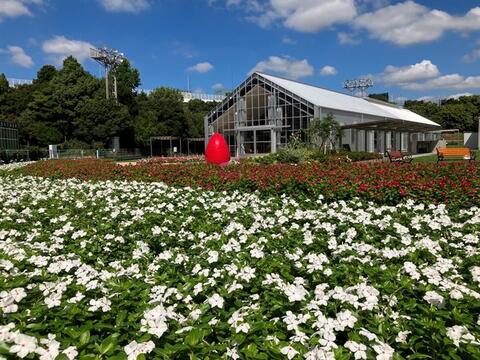 芳醇な香り！贅沢な味わいのドライイチゴ（20g×2パック）