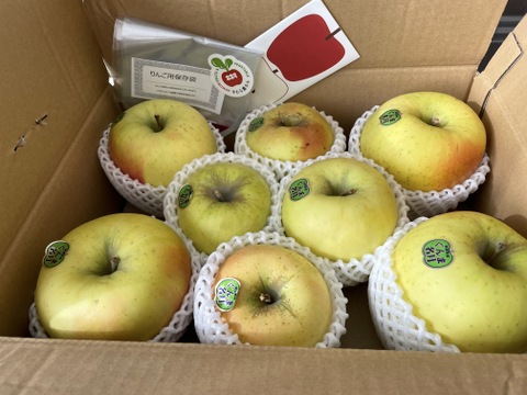 感謝！ありがとうございます！2024年度最終出荷【ぐんま名月】家庭用３キロ🍏おうちりんご🍏希少品種🍏