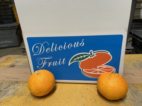 満足度最高！うわじまのデコ（不知火）【精品】２．８ｋｇサンプル糖度１３度越え