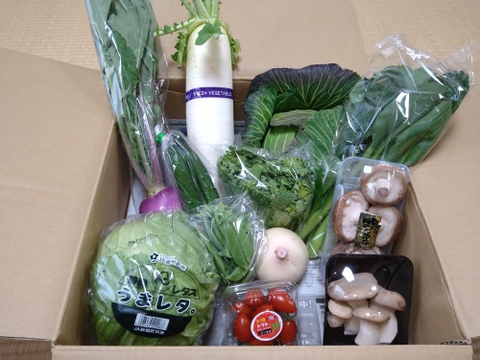 畑から採りたて発送！©静岡厳選野菜セット（12品)（本州の方限定）「熨斗対応可」