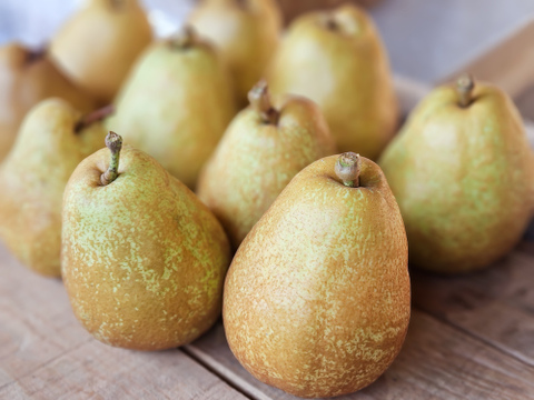 贅沢edition！洋梨詰め合わせセット5㎏