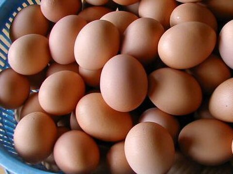 大寒の卵 しあわせ卵かけご飯 平飼い卵30個