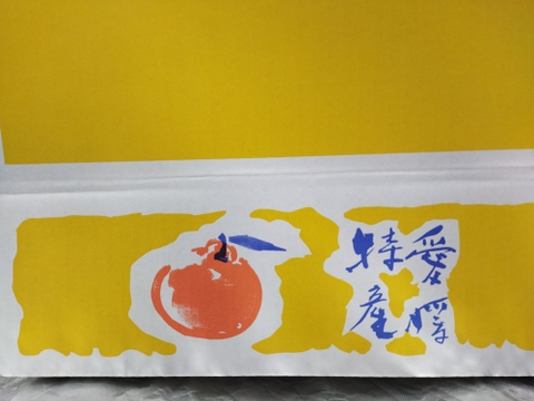 家庭用ＡこぶりМサイズ　樹上完熟まどんな【愛媛果試第28号】　３キロ