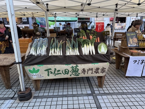 【農薬節減】とろける甘さ 極太下仁田ネギ（Lサイズ以上を18本）