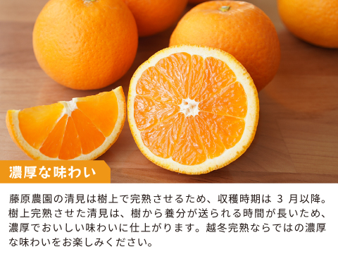 清見｜春先まで樹上完熟させた濃厚な味わい！みかんとオレンジのかけ合わせで生まれた和歌山県海南市下津町産の和製オレンジ（ご家庭用4kg）