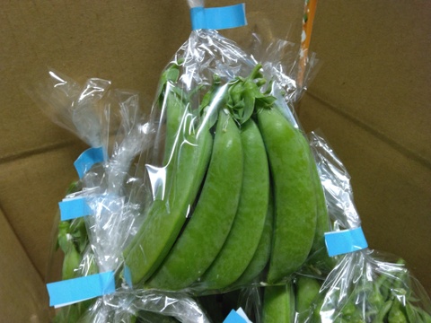 ☆発送開始☆『スナップエンドウ』1Kg