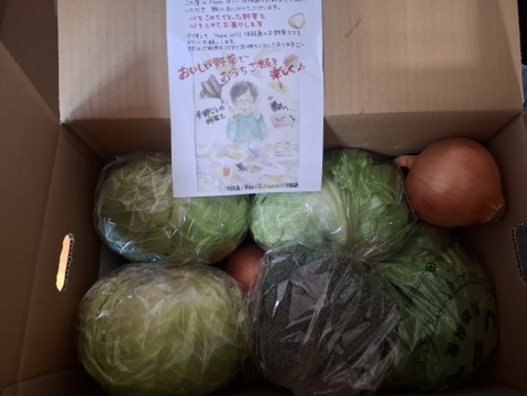 旬の野菜セット🥬レタスとキャベツとブロッコリーと玉ねぎ入りのセット❗️春の野菜セット