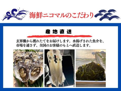 【24.8.2倉庫入れ】おさかなセット 5キロ 朝どれ鮮魚 詰め合わせ