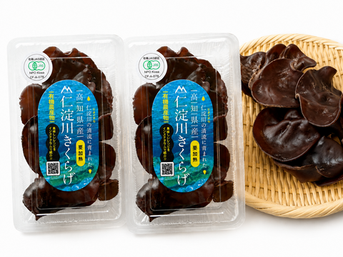 【有機JAS認証】高知県仁淀川町産 生きくらげ 2kg（500g×4P）｜肉厚ぷりぷり・季節限定