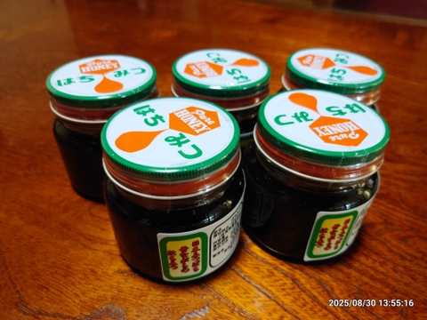 日本蜜蜂の天然ハチミツ 無添加 非加熱 内容量500g × 2本 日本